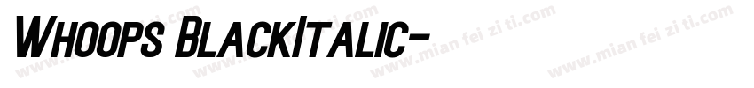 Whoops BlackItalic字体转换